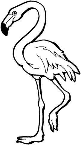 Pink Flamingo Coloring Page